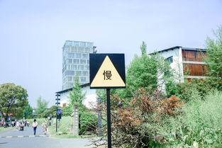 眉山除甲醛，打造健康居住环境的关键步骤