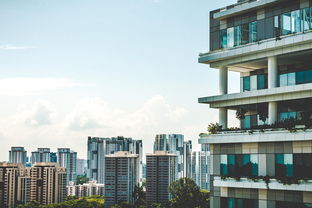 平谷租房市场分析，机遇与挑战并存