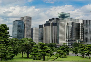 平果租房市场全解析，如何找到理想的租房