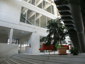 不锈钢栏杆，现代建筑的守护者