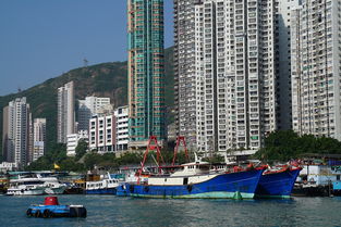 宝坻租房指南，探索最佳居住选择