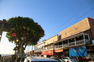 三亚亚龙湾家庭公寓，度假天堂中的温馨之家
