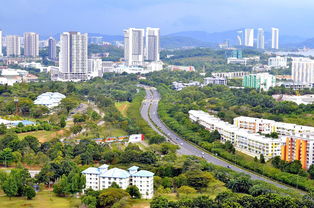 东苑二手房市场分析，投资价值与居住环境的双重考量