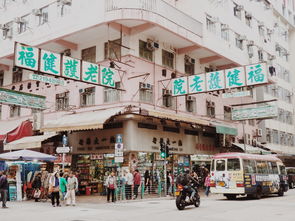 西岗租房，探索大连西岗区的租房市场与生活指南