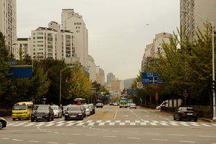 大华租房，探索城市生活的理想居所