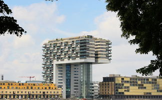 河东租房市场全解析，探索最佳居住选择